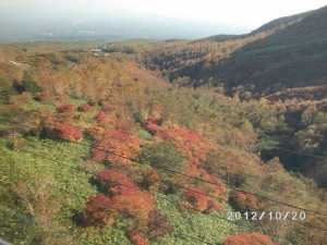 ロープウェイから眺める山麓の紅葉